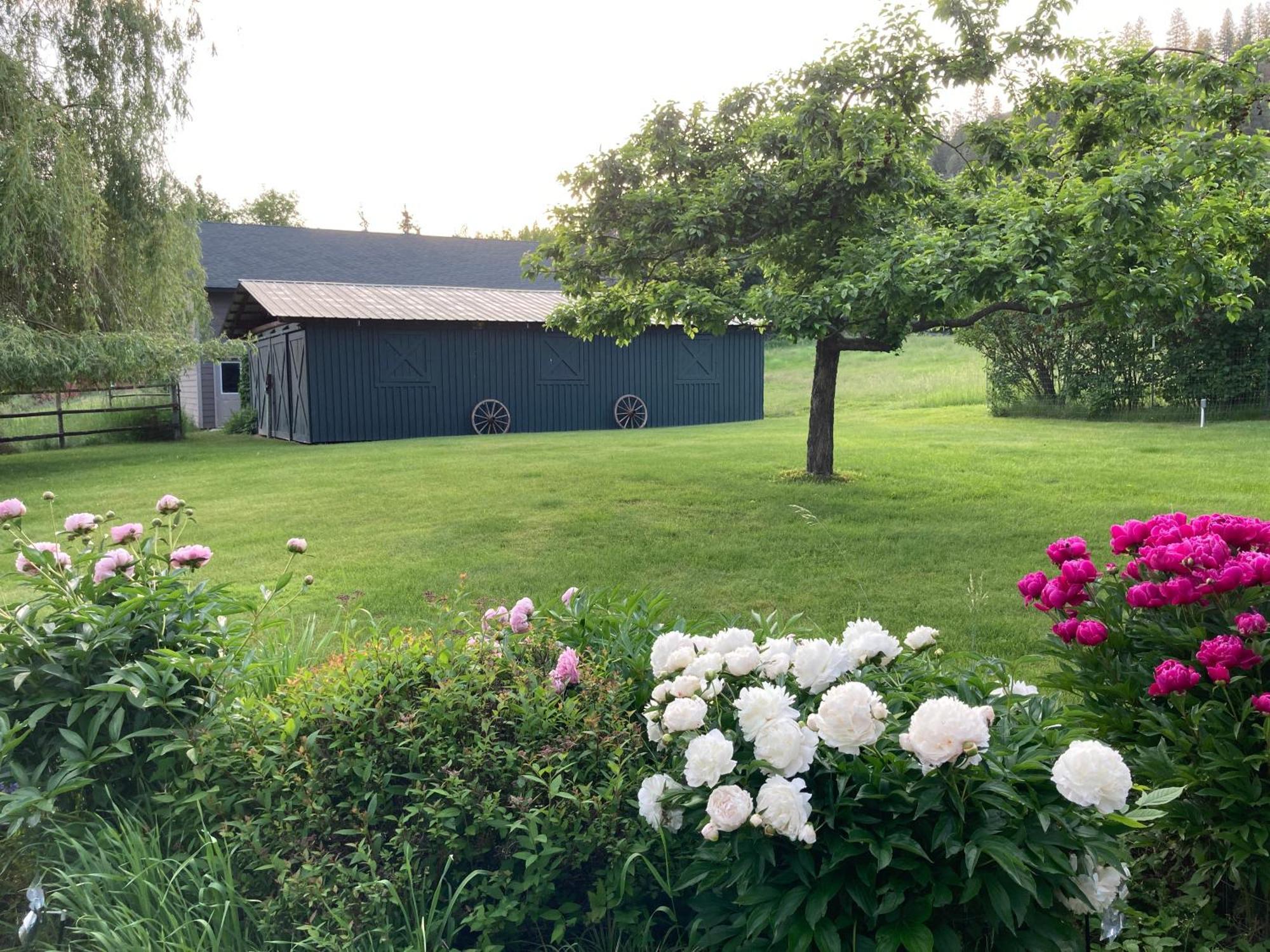 Hideaway Ranch Guest House Bonners Ferry Bagian luar foto