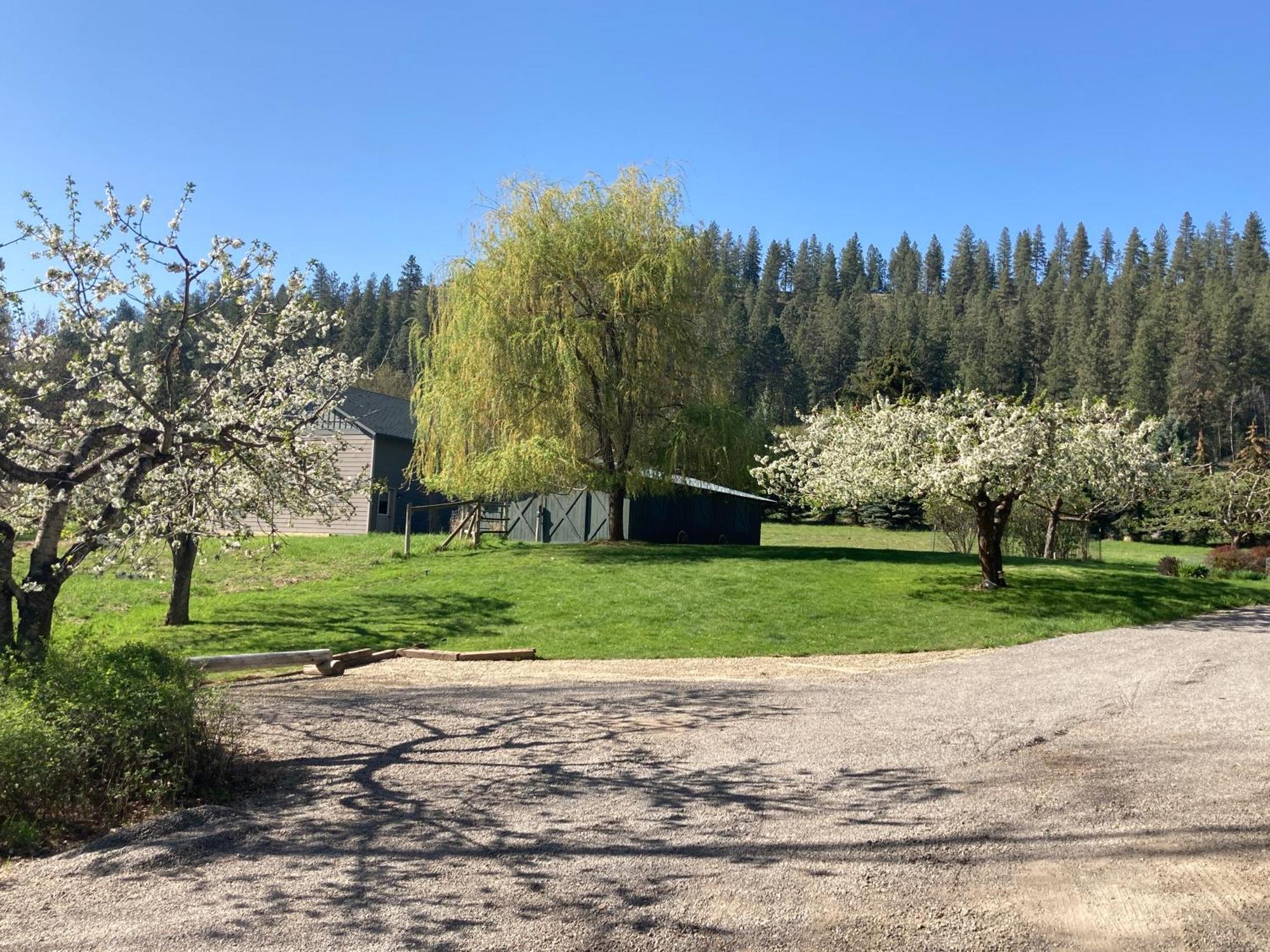 Hideaway Ranch Guest House Bonners Ferry Ruang foto